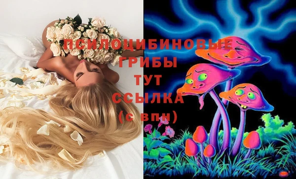 молекула духа Алексин