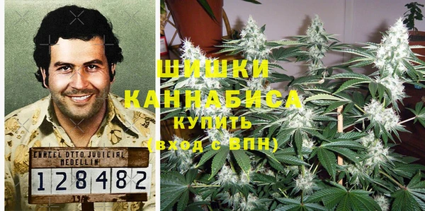 молекула духа Алексин
