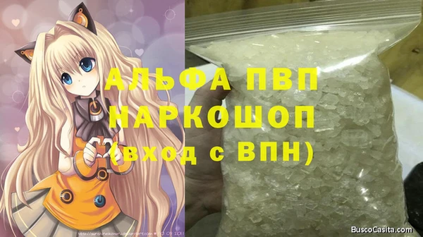 молекула духа Алексин