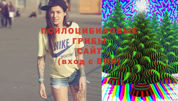 молекула духа Алексин