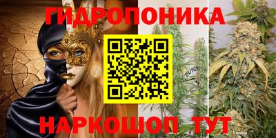 молекула духа Заволжье