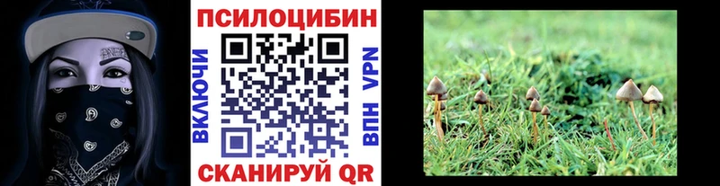 Галлюциногенные грибы прущие грибы  Лянтор 