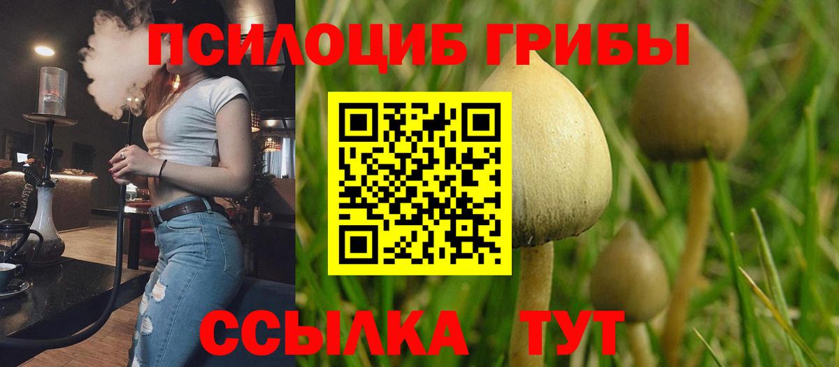 Псилоцибиновые грибы ЛСД  Псилоцибиновые грибы MAGIC MUSHROOMS  Вход с VPN  Лянтор 